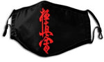 mask kyokushin karaté for protection, changeable filter big red kanji - kyokushin-shop