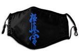 mask kyokushin karaté for protection, changeable filter - kyokushin-shop